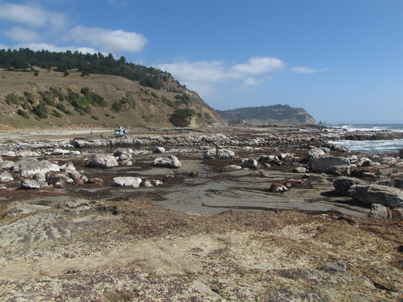 Illustration for article titled How the Chile earthquake created miles of new, "uplifted" coastline